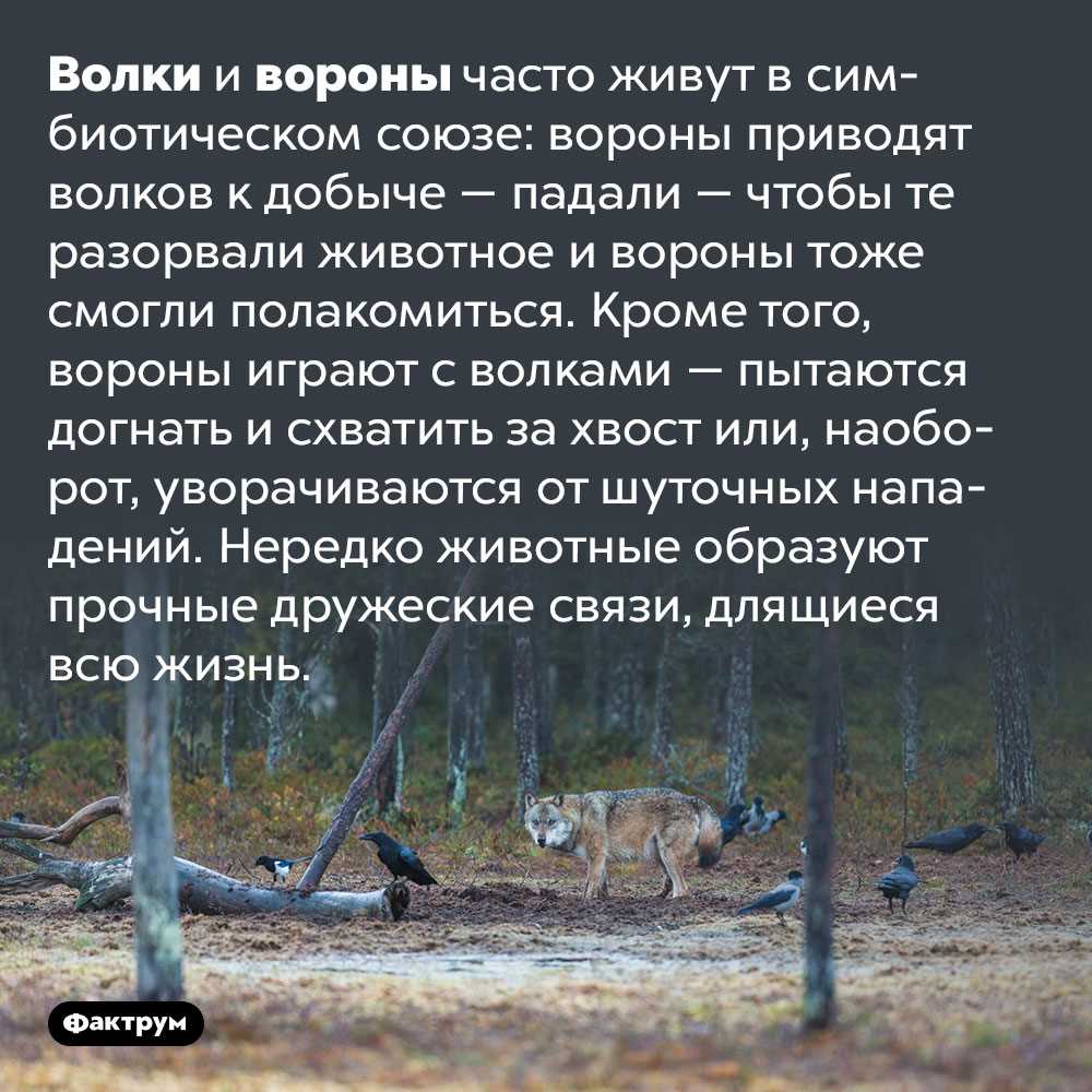 Восстановление и охрана их естественных мест обитания