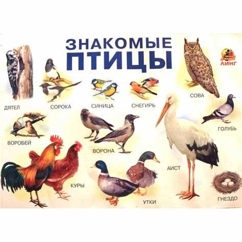 Описание родственных видов