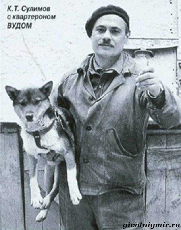 Собака сулимова фото Собака сулимова фото