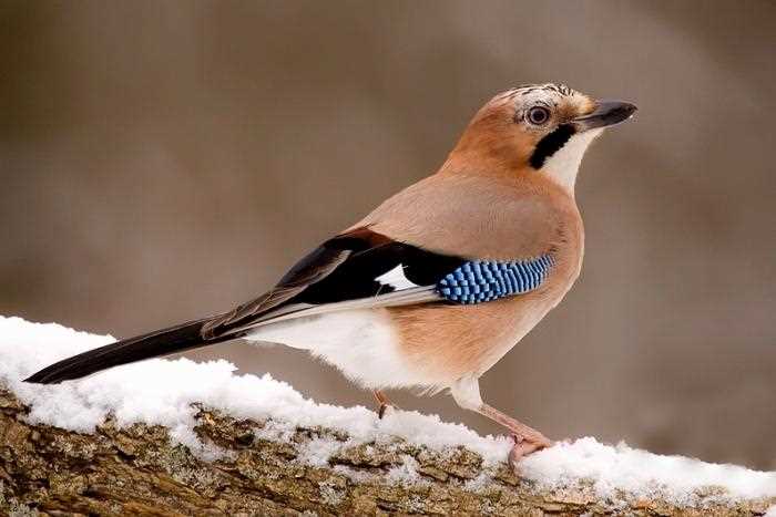 Фокусировка и экспозиция