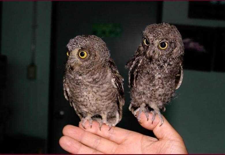 Красота природы на фотографиях сплюшек