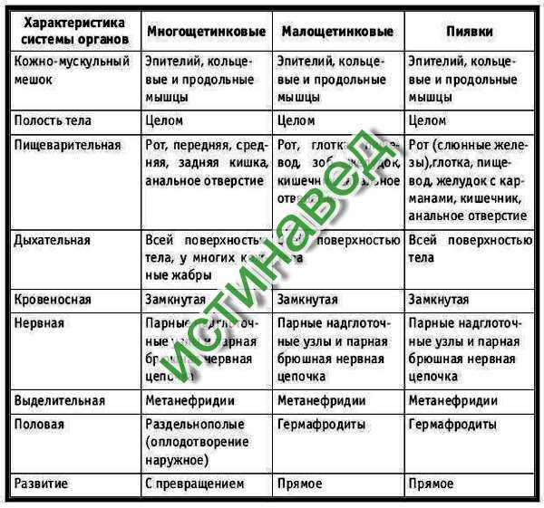 Где обитает пескожил?