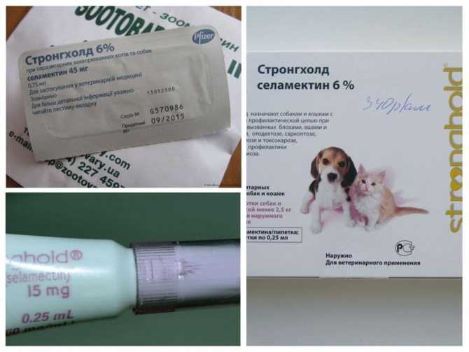 Полное спокойствие