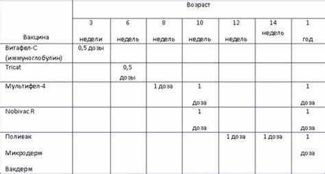 Как подготовиться к вакцинации и что делать после нее