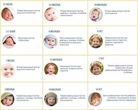 Таблица прививок для щенков до года: когда и что ставить вакцины