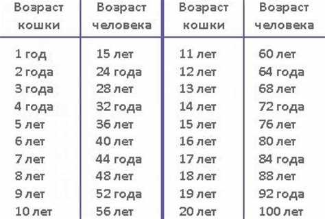 Первый год жизни кошки