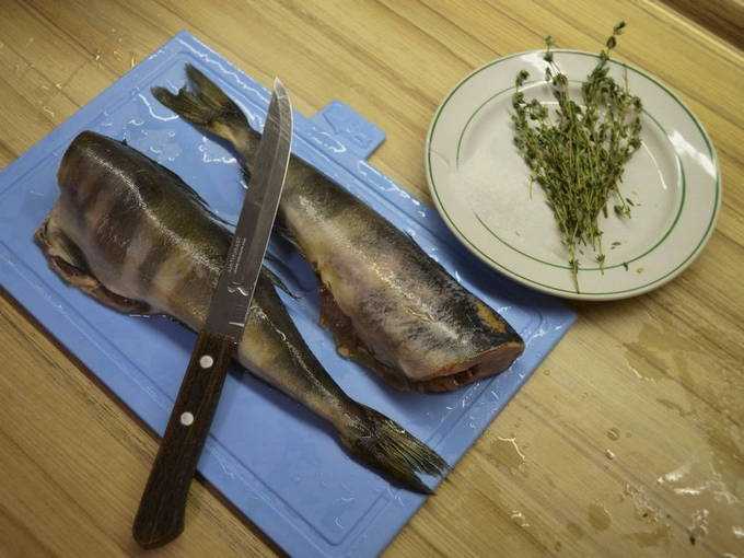 Польза и применение