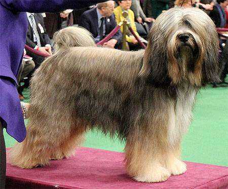 Использование в горах