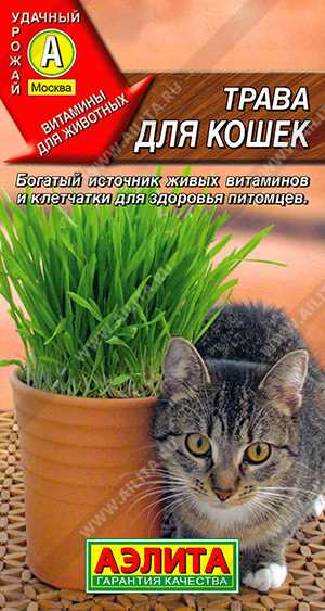 Физиология пищеварения кошек