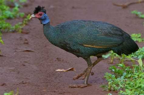 Требования к жилью