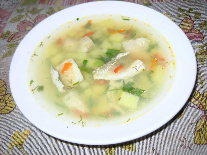 Рыба навага: рецепты приготовления и виды