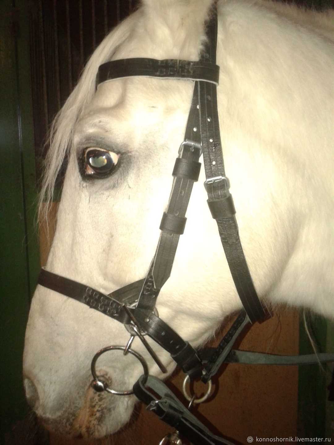 Виды уздечек для лошадей