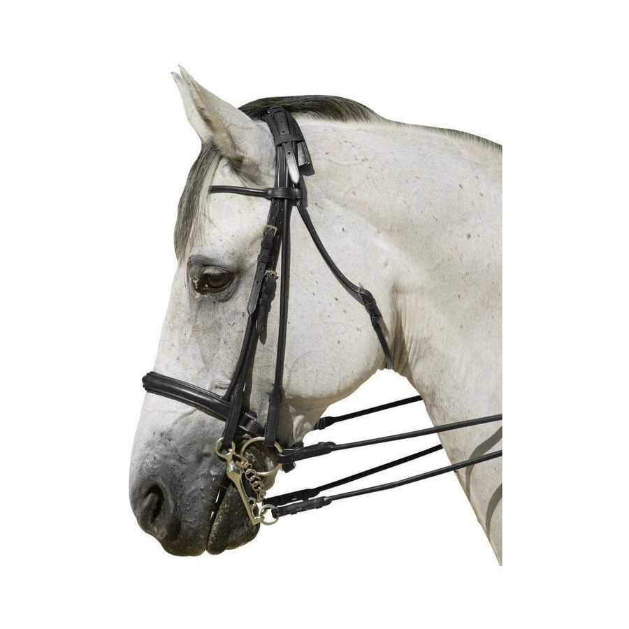 Чистка уздечек