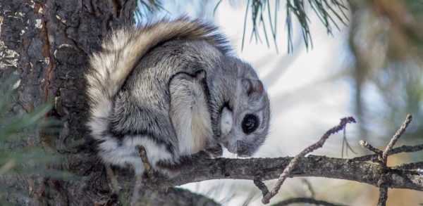 Живопись и графика