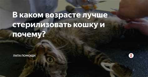 Существуют ли какие-то ограничения после операции?