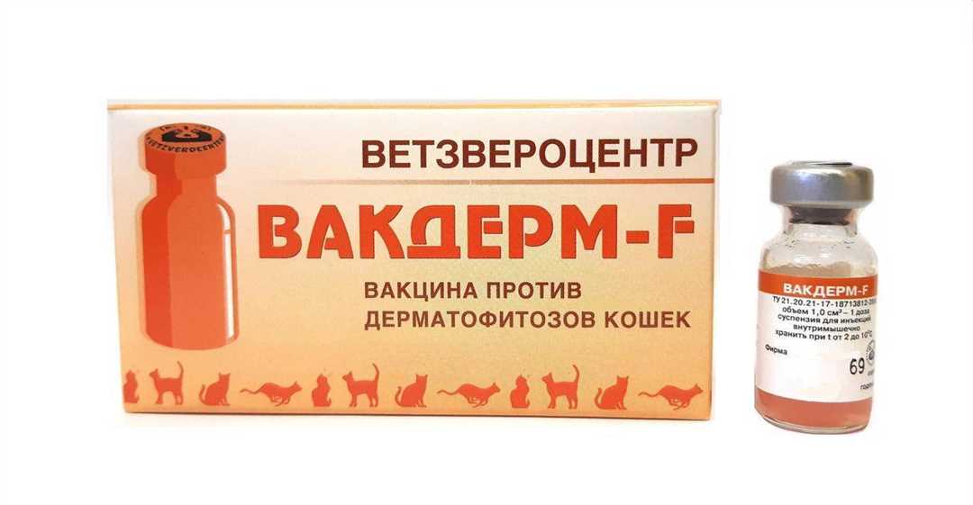 Вакдерм для кошек: инструкция по применению, дозировка, побочные эффекты