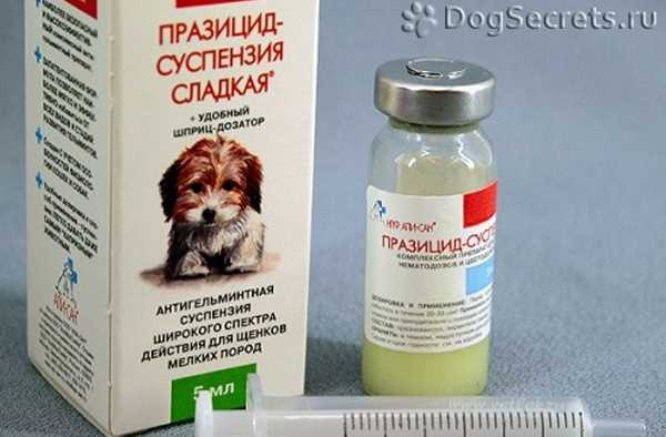 Кратко об уникальных особенностях Веракола