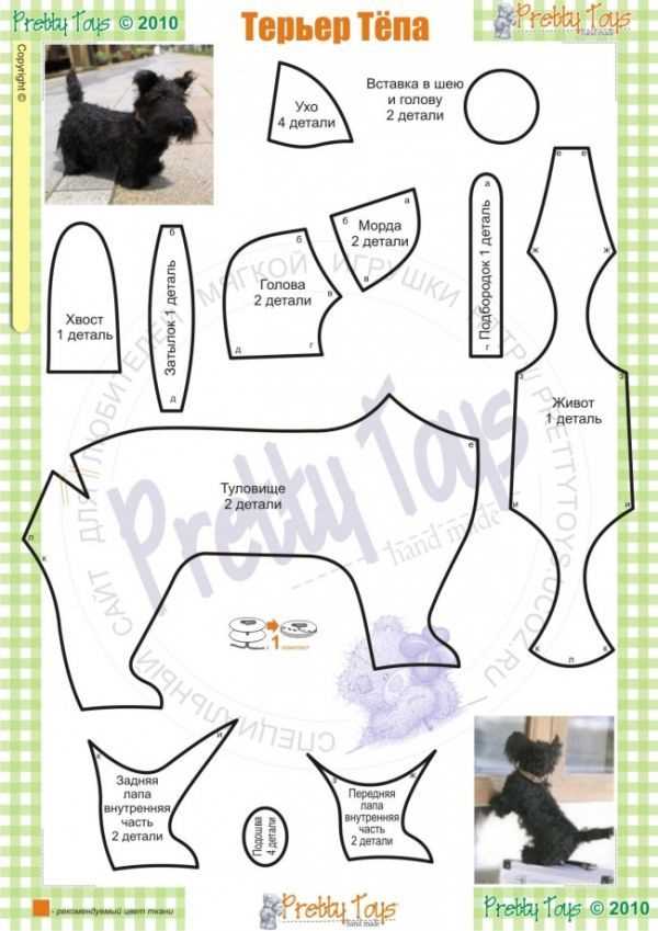 Пошив костюма для собак