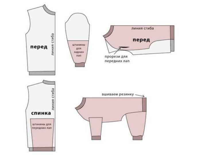 Выкройки одежды для собак: как сшить стильную и комфортную одежду своим питомцам