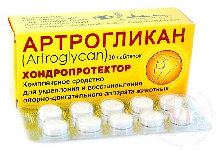 Хондропротекторы для собак: виды, применение и выбор лучших препаратов Хондропротекторы для собак: виды, применение и выбор лучших препаратов