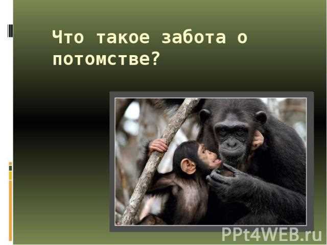 Как поощрить детей к физическим упражнениям?