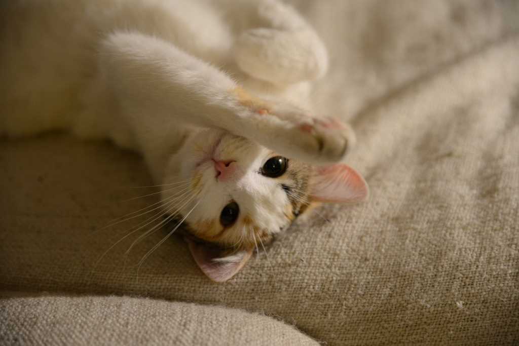 Методы домашней терапии