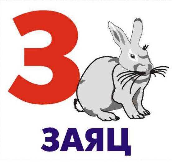 Животные на букву З Животные на букву з