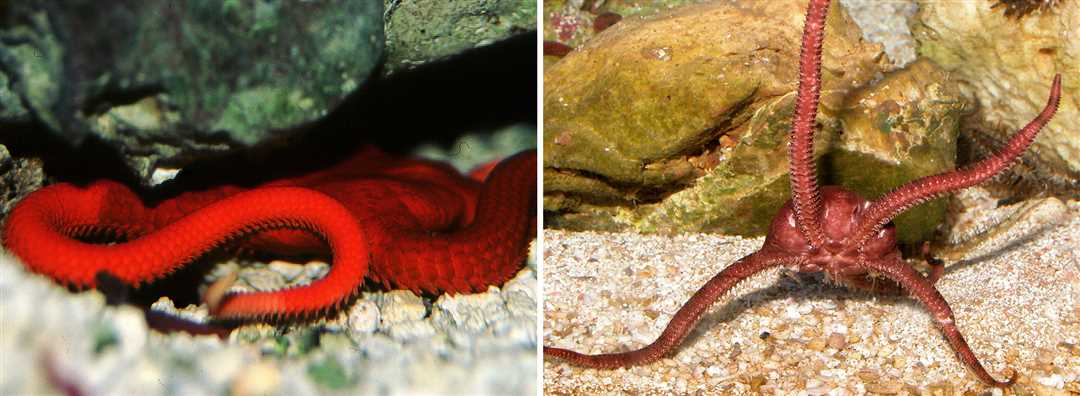 Постановка задачи