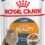 Royal Canin Intense Beauty влажный корм для поддержания красоты шерсти кошек в соусе