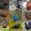 Семейство Фазановые (Phasianidae) представители семейства список птиц