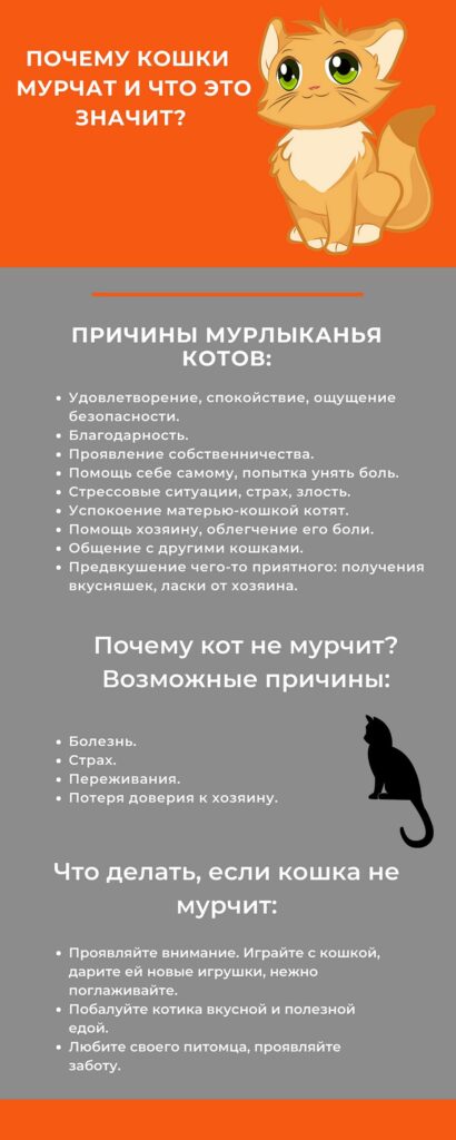 Кошка мурлычет почему