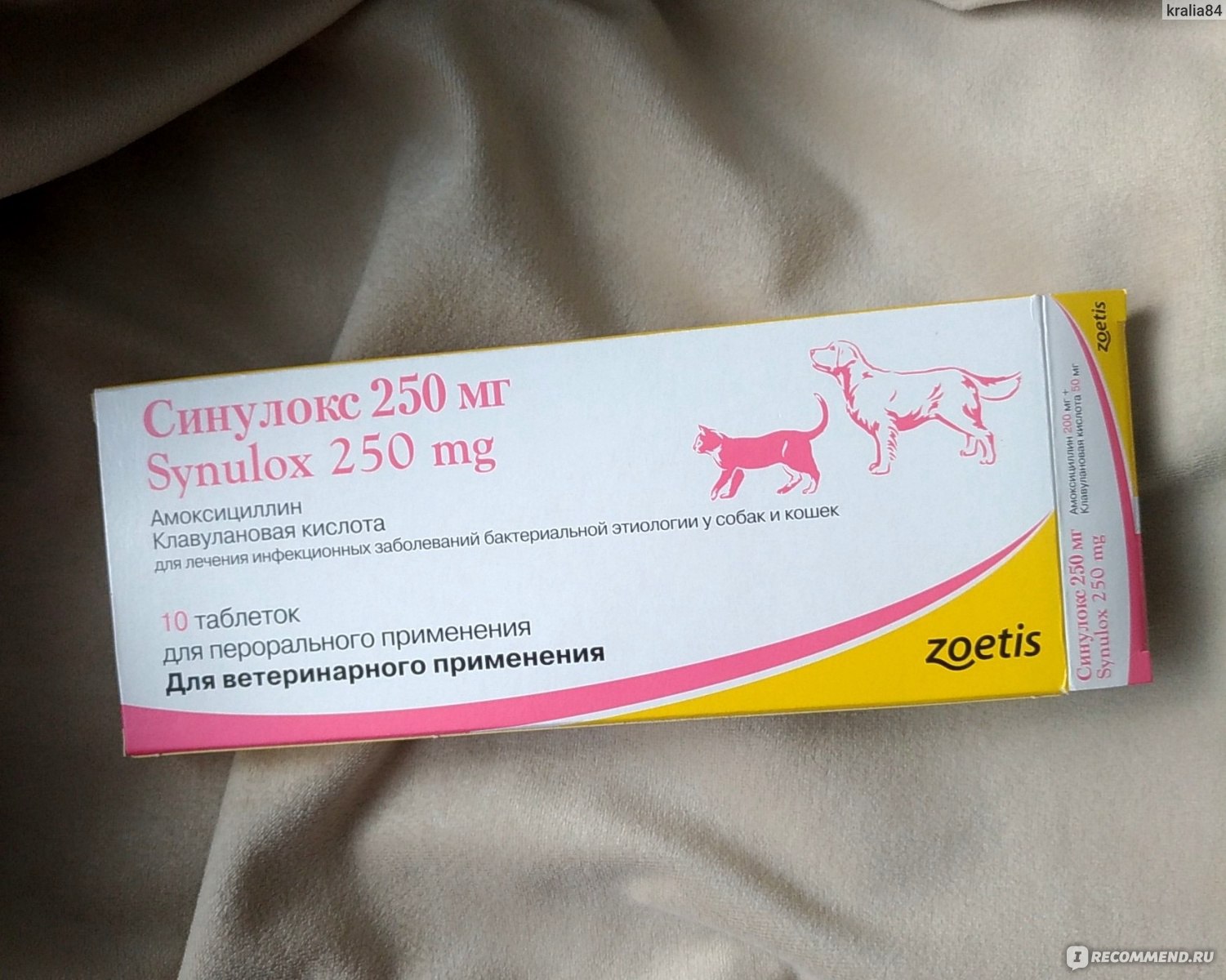 Купить синулокс для собак 500. Синулокс 200. Синулокс 250 мг. Синулокс 150 мг. Zoetis синулокс 50 мг.