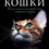 Сколько лет моей кошке? Расчет возраста по стандарту человеческих лет и таблица – важная информация для питомников и владельцев!