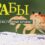 Японский краб-паук: описание, особенности и образ жизни | Новости природы и экологии